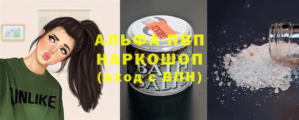 дживик Вяземский