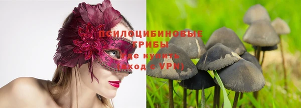дурь Арсеньев