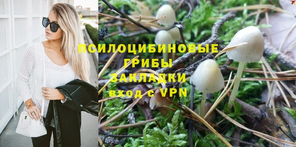 дурь Арсеньев