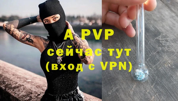 дурь Арсеньев