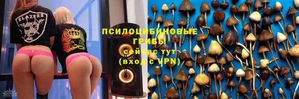 дурь Арсеньев