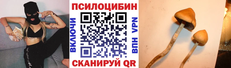 Галлюциногенные грибы Cubensis  Сясьстрой 